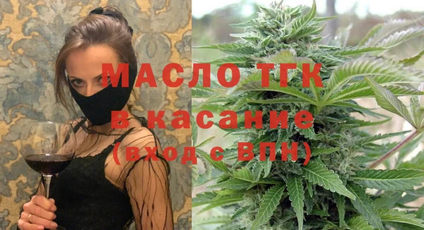 стафф Новодвинск