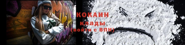 стафф Новодвинск