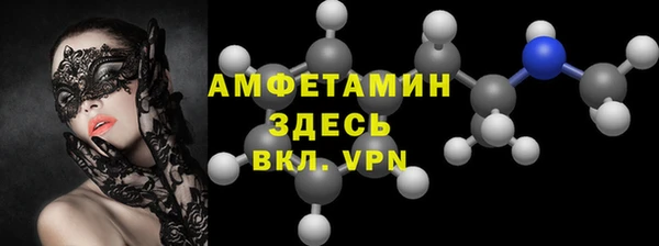стафф Новодвинск