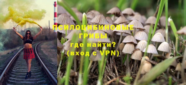 герыч Новозыбков