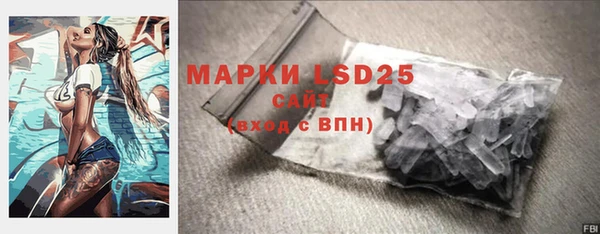 стафф Новодвинск