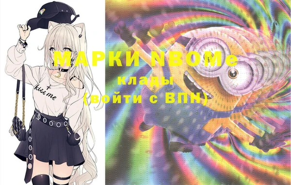 стафф Новодвинск