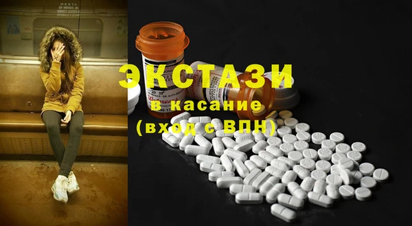 стафф Новодвинск