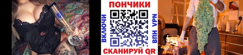 Купить где  Фрязино  Конопля индика 